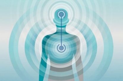 Picture of Mind Body Bridging